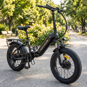 Bicicleta Eléctrica Plegable DOTMALL F213 Nakxus con Cuadro Negro, Llantas de 20 Pulgadas, Batería de 36v 14.5Ah, Casco Obligatorio, Cumple con StVZO, 150kg - Product Image 2