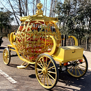 Carrosse électrique Cendrillon en fer forgé orné de motifs royaux, taille et couleur personnalisables, pour cérémonie de mariage en extérieur et photographie - Product Image 1