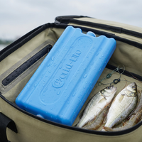 World-bio Chaîne du froid : Blocs de glace et briques de glace en HDPE, Boîtes repas isothermes à prix abordable, Packs de glace premium