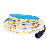 Bande lumineuse LED décorative haute densité 5M par lot 320 LED/m 12V Kit de bande LED COB sans points RF 11 touches avec variateur de lumière
