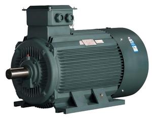 Motor de Inducción Asíncrono Trifásico Serie YE4/IE4, IP55, 50Hz, 1500 RPM, 380V/660V/1140V, YE4-355L3-4-355KW - Product Image 6