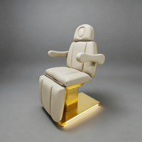 Lit de soin électrique 3/4 moteurs en acier inoxydable avec base dorée et éclairage pour SPA, salon de beauté, lit de massage
