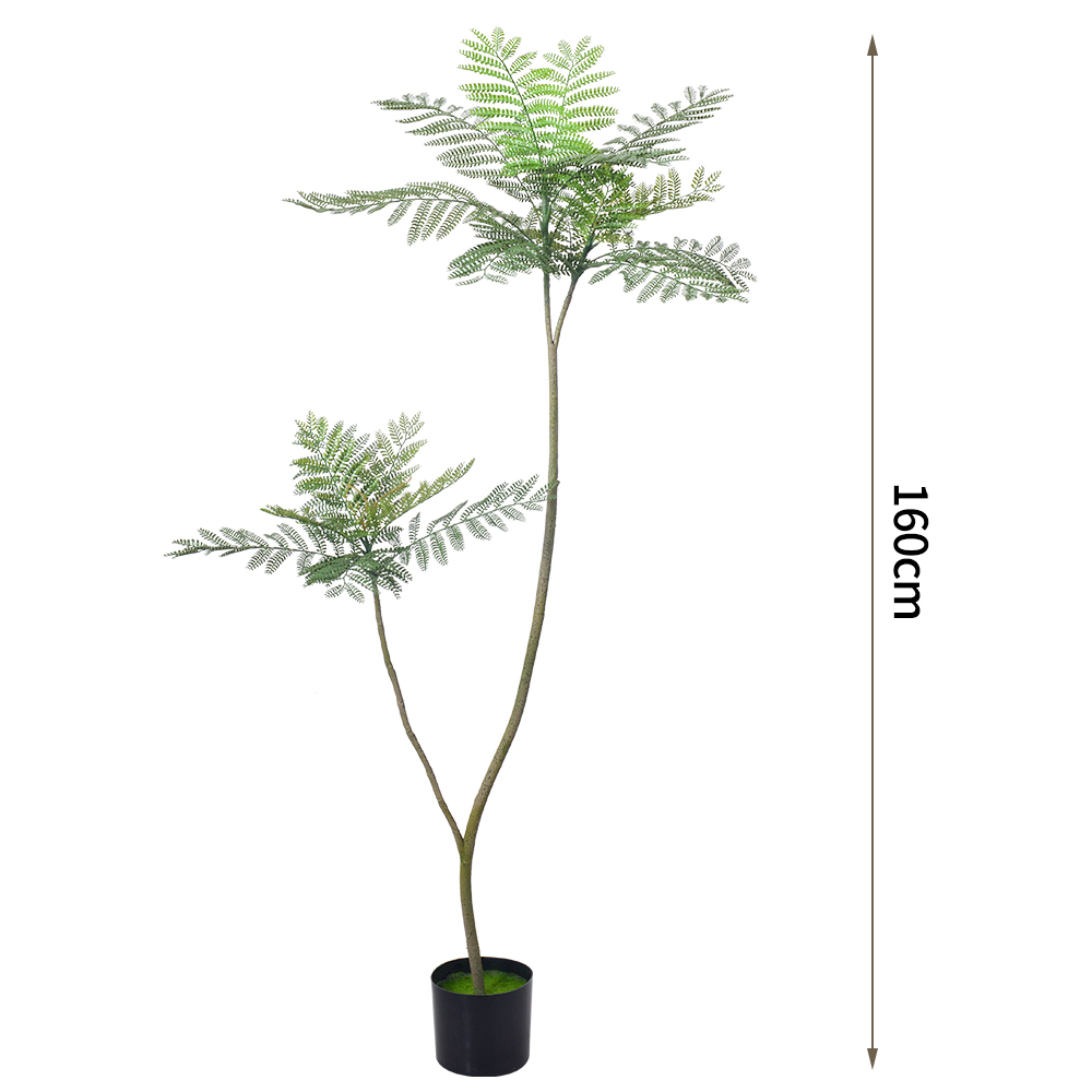 โมเดลบีจาคารันด้า tree160cm