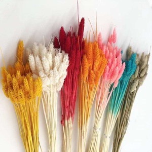 Decoración Boho, Joyería Natural, Flores Secas y Plantas, Hierba de Gemas, <span class=keywords><strong>Phalaris</strong></span>, para Regalo del Día de la Madre, Ramo de Flores - Product Image 1