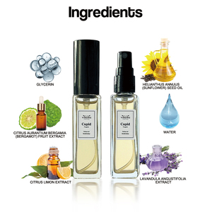 Profumo maschile della durata di 10ml studente acqua acqua essenza degli uomini profumo all'ingrosso marca profumo originale - Product Image 4