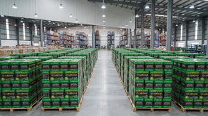 <span class=keywords><strong>Batterie</strong></span> au plomb sans entretien 12V 45Ah 50Ah 60Ah 70Ah <span class=keywords><strong>Batterie</strong></span> de démarrage pour voiture - Product Image 5