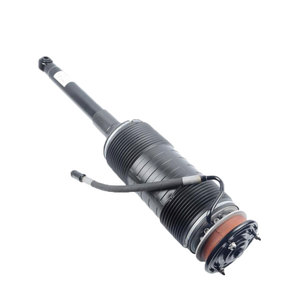 ระบบกันสะเทือนด้วยลมไฮดรอลิกด้านหลังสำหรับ S Class W221 S320 2000-2006 2213206313 - Product Image 1