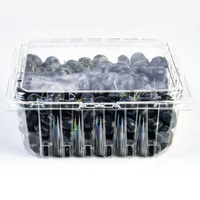 Emballage en blister en PET recyclé de 2 lb, conteneur jetable en plastique pour fruits, boîtes d'emballage pour fraises, bleuets