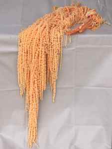 Hoa Amaranthus đỏ trắng đen đông lạnh bảo quản tươi thật hoa khô dùng cho đám cưới sự kiện trang trí hoa tự làm - Product Image 5