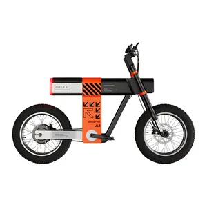 Carbon Fiber Electric Bicycle 48V 1200W Middrive Electric Bike 20Inch 4.0Fat Tire 40Ah Powerful Moped Ebike