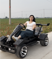 Go-Kart Eléctrico Biplaza de Primera Categoría con Ruedas de Aluminio de 10 Pulgadas, Go-Karts de Alta Velocidad para Adultos, Uso en Exteriores, Alcance de 50 km