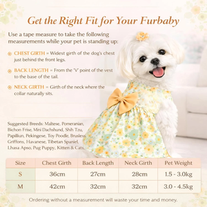Vêtements pour chats et chiens OEM ODM avec logo personnalisé, vêtements pour animaux de compagnie tendance pour chats et chiens, fabricant direct - Product Image 2