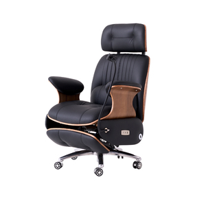 Luxury Ergonomic Office Chair with 160° Recline, USB Charging, Massage Lumbar <b>Support</b> & Adjustable Height - Product Image 2