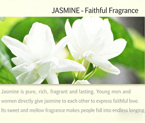 Perfume para el Cabello con Aroma a Rosas, Encuentro Romántico, Personalizado OEM, Eau de Parfum, Ecológico, Lujoso y de Larga Duración - Product Image 3