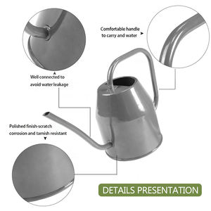 Regadera Metálica Pequeña <span class=keywords><strong>de</strong></span> 1000 ml <span class=keywords><strong>con</strong></span> Rociador <span class=keywords><strong>de</strong></span> Vidrio <span class=keywords><strong>de</strong></span> 360 ml <span class=keywords><strong>para</strong></span> <span class=keywords><strong>Plantas</strong></span> <span class=keywords><strong>de</strong></span> Interior, Suculentas, Cactus, Plántulas y Bonsáis - Product Image 5