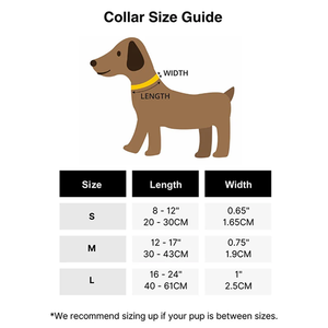 Collar de Perro Personalizado de Color Impermeable y Suave, Collar de Perro de PVC de Primera Calidad y Correa Recubierta de PVC Antideslizante - Product Image 6