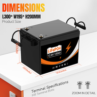 Batterie LiFePo4 prismatique au phosphate de lithium-ion 12,8V 25,6V 100Ah 200Ah 300Ah, pack de cellules LFP pour chariots élévateurs électriques et outils électriques