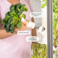 Kit de culture hydroponique intelligente pour la maison, plateau pour micro-légumes, 12 pots, kit de jardinage hydroponique intelligent d'intérieur