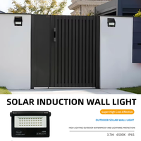 Projecteur solaire extérieur 50W avec capteur radar, panneau solaire mono, étanche IP65, pliable, lampe LED pour jardin, cour, projet