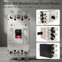 Disjoncteur à poulie (MCCB) certifié CE SPX, anti-surcharge, forte charge, CA 250-315A, 3P, CE 25kA, pour système d'alimentation des terminaux portuaires du Moyen-Orient