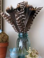 Plume de dinde naturelle véritable pour l'artisanat, le bricolage, les coiffures, les chapeaux, les accessoires de costume, les fêtes de carnaval, les mariages, la décoration florale à la maison