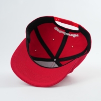 Fabrieksontwerp Katoenen Baseballpet Op Maat Geborduurd Logo Lente Zomer Outdoor Sport Dot Fruit Patroon Hot Sale Oxford Stof