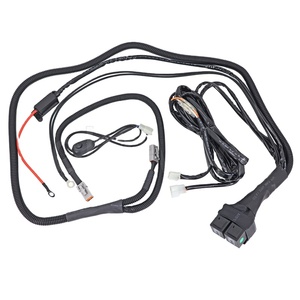 Aangepaste <span class=keywords><strong>2</strong></span>-pins Duitse connector vrachtwagen mistlamp schakelaar parkeerkabelboom - Product Image 1