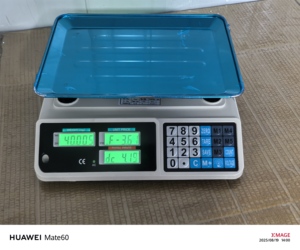 Bilancia Digitale da <span class=keywords><strong>40kg</strong></span> in Acciaio Inossidabile con Calcolo del Prezzo, Supporto ODM/OEM - Product Image 2