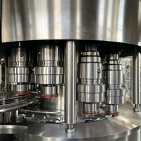 Machine de remplissage de jus de fruits 3 en 1 personnalisable à haut rendement pour bouteilles PET, mise en bouteille de boissons aux fruits à grande échelle