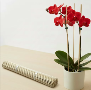 Paquete de 200 Varillas de Bambú de 50 cm (20 Pulgadas) para Jaulas de Pájaros, <span class=keywords><strong>Cercas</strong></span>, Flores y Plantas, Varillas de Bambú para Flores - Product Image 1