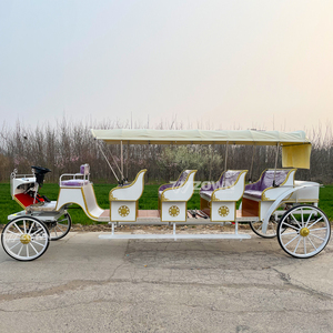 Charrette de luxe longue pour visites touristiques, plusieurs sièges, panneaux latéraux en bois, transport extérieur pour mariages et festivals - Product Image 4