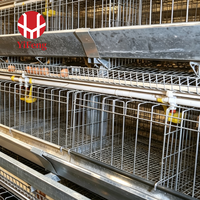 Cage à volailles de type A, cage automatique pour poules pondeuses à 4 niveaux, collecte des œufs, courroie à fumier, abreuvoir à tétine, alimentation et abreuvement, acier galvanisé