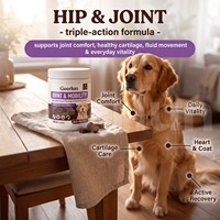 Complément alimentaire personnalisé OEM pour la mobilité articulaire des chiens, à croquer, triple action, saveur poulet, glucosamine, chondroïtine, MSM