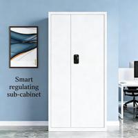 Weizhan Nouveaux Casiers Électroniques Intelligents Multi-Fonctionnels pour Colis, Armoire de Rangement Sécurisée pour Archives Financiers et de Bureau BL-SLG04