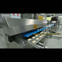 Huajuan Nieuwe Hoge-Snelheid Geautomatiseerde Deeg-Groente-Deegverwerkings-Stoomlijn 1000-12000PCS/H