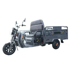 Chinese Manufacturer 1000W High-Power E Tricycle High Safety Adult Male Durable Electric Tricycle
