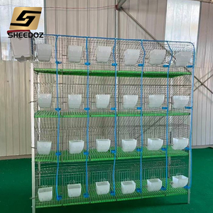 Katmanlı Tavşan Yetiştirme Kafesi, Galvanizli Tavşan Yetiştiricileri Çiftlikleri Kümes Hayvanları Tavşan Yetiştirme Kafesi Satışı - Product Image 6