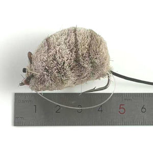 Señuelo de Pesca Suave Selco al por Mayor para Peces Depredadores, Señuelo de Lucio con Acción Flotante Realista - Product Image 2