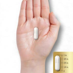 国境を越えた一酸化窒素サプリメントカプセル L-アルギニン L-シトルリン 大人用抗酸化健康サポート (240カプセル/ボトル) - Product Image 3