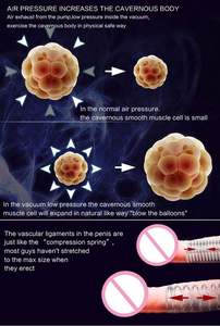 ปั๊มเพิ่มขนาดอวัยวะเพศชาย - Product Image 3