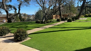 AVG садовый газон ковер синтетическая трава зеленого цвета трава искусственный газон для ландшафтного декора - Product Image 5