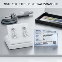Pendientes de Lágrima Clásicos de Diamantes Cultivados en Laboratorio para Mujer Guadalupe, Bajo MOQ 1 Par 2ct, Precio de Fábrica, Oro Blanco de 18K, Regalo Navideño NGTC