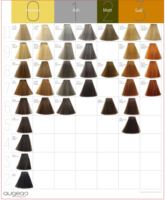 Nuancier de Couleurs de Teinture Capillaire Professionnel Personnalisé OEM pour Salons de Coiffure