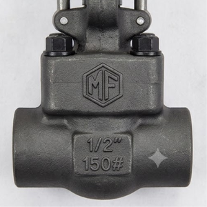 Vanne à opercule manuelle en acier au carbone forgé de 4 pouces, classe 800, à tige montante OS et Y, raccord NPT BSPP, à souder - Product Image 4