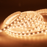 Bande lumineuse LED flexible haute tension AC230V 60 LED/m 10W/m 50M Blanc chaud ou froid 3000K 2700K Décorative pour éclairage extérieur