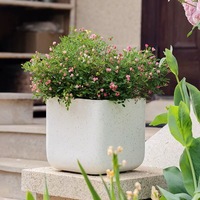 Carré Magnésium Boue Ciment Pot De Fleur Nordique Grand Diamètre Simple Carré Pot Dragon Sang Arbre Monstre Bambou Plante Verte