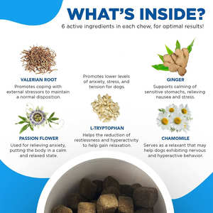 Köpekler ve kediler için OEM 120 Chews köpek sakinleştirici davranır takviyesi Bacon lezzet yumuşak çiğniyor destek sakin ve rahat - Product Image 3