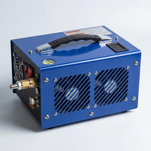 Compresseur d'air PCP OEM ODM 4500 PSI 12 V avec arrêt automatique, pompe haute pression portable 300 bars pour fusil à air comprimé PCP – Vente en gros - Product Image 6