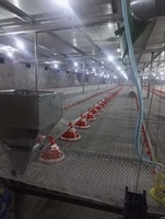 Système d'alimentation et d'abreuvement automatique moderne pour ferme avicole, nouveau type de gobelet à eau pour les poulets de chair