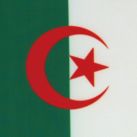 Vente en gros Offre Spéciale les pays du monde 14*21cm Drapeau algérien agitant la main avec tige en bois